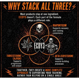 Reaper Series: ECDY3