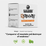 Pure Shilajit Resin 50g – Ancient Vitality Elixir